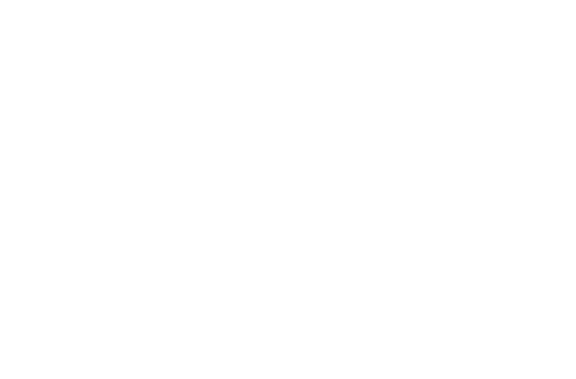 DF Consulting